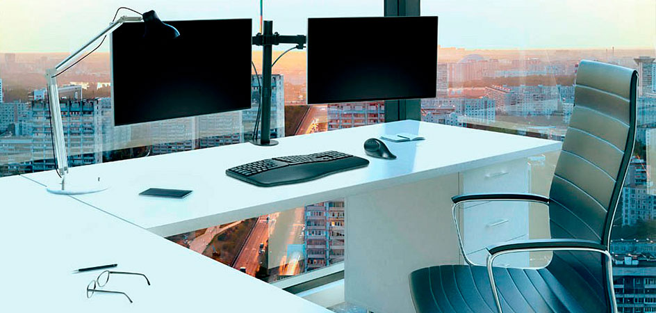 Durable Monitor Halterung SELECT PLUS mit Arm für 2 Monitore,  Tischbefestigung, VESA, Flexibel einstellbar, 509723