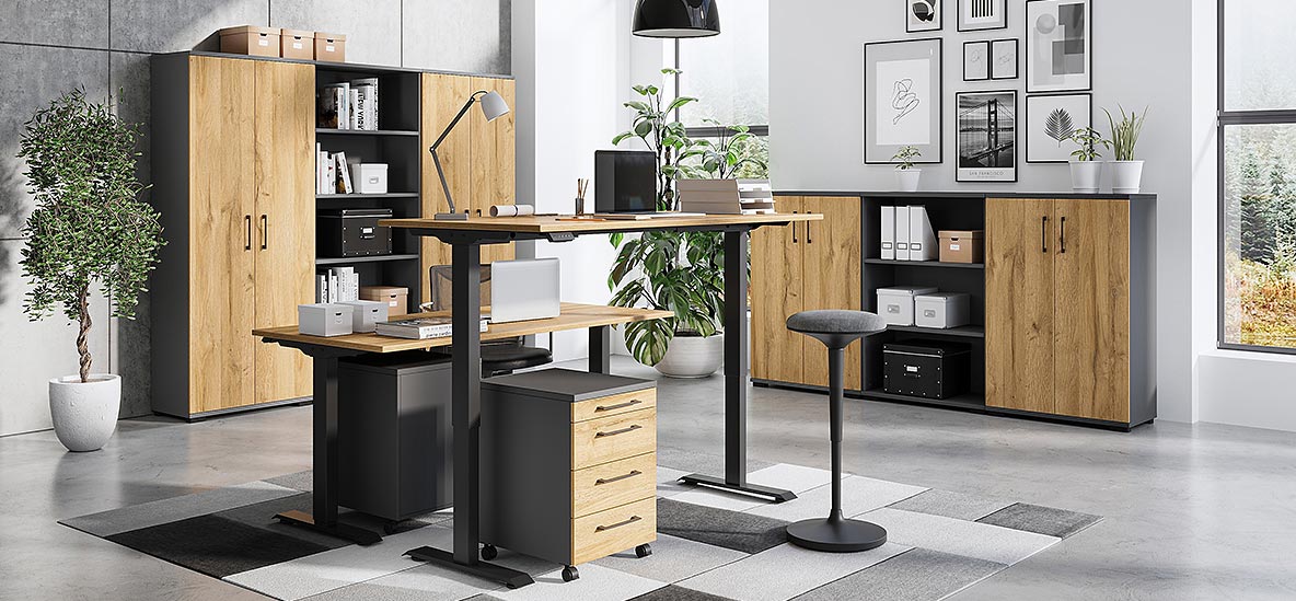 Möbelprogramm Profi 3.0 Grafit/Grandsoneiche